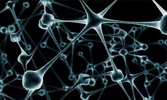 智能合約的核心執(zhí)行原理與人工智能基礎軟件開發(fā)